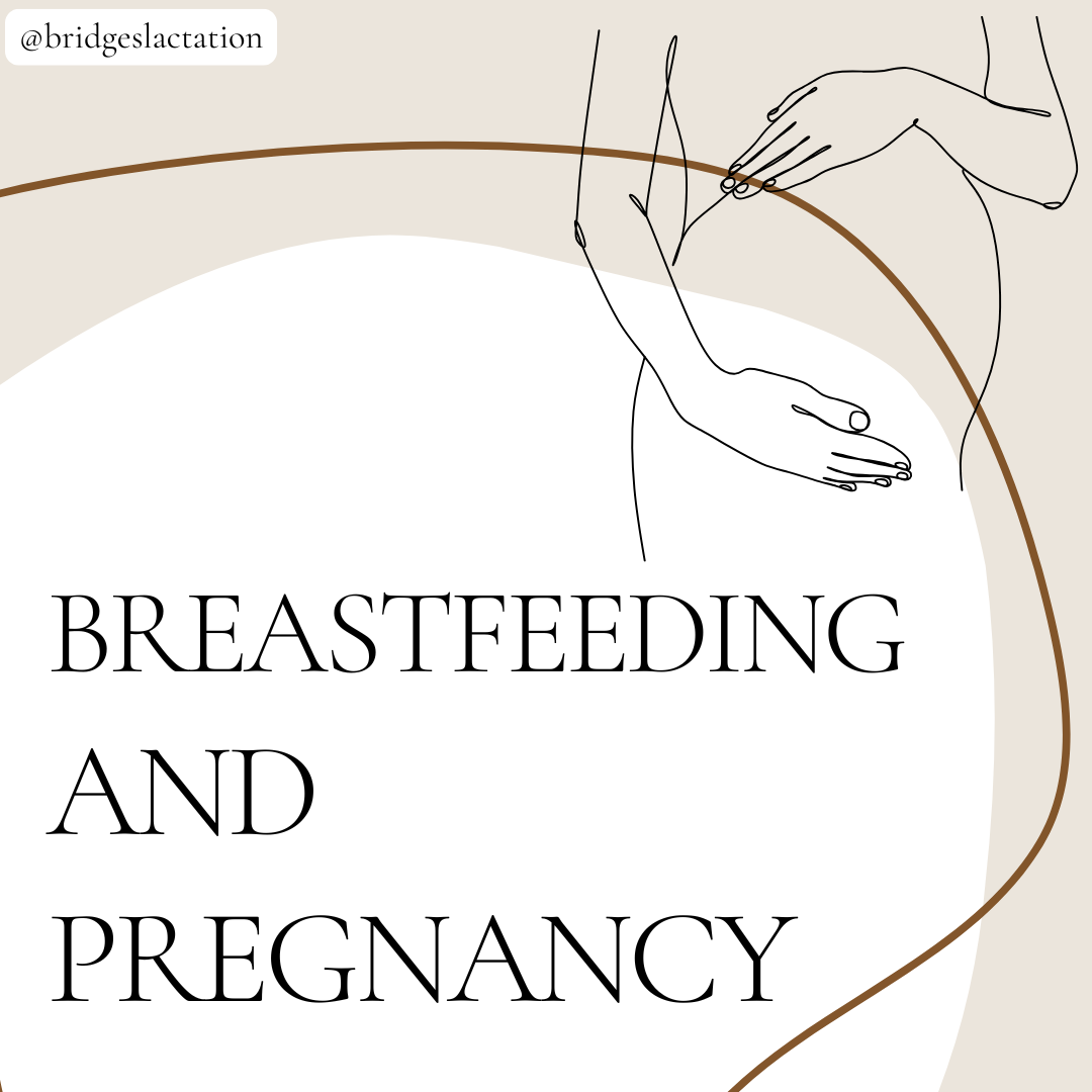 Breastfeeding During Pregnancy