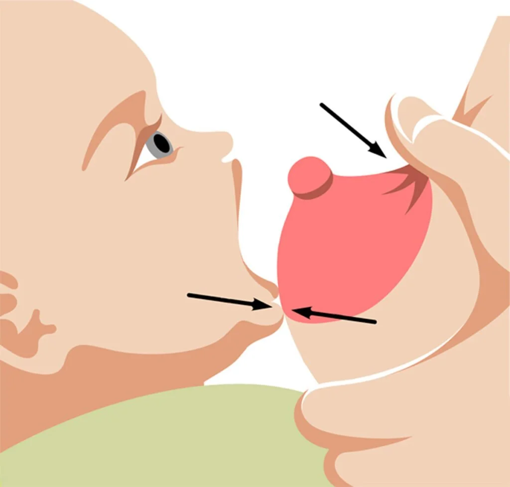 Latching-Nose-To-Nipple-A-1024x978.jpg