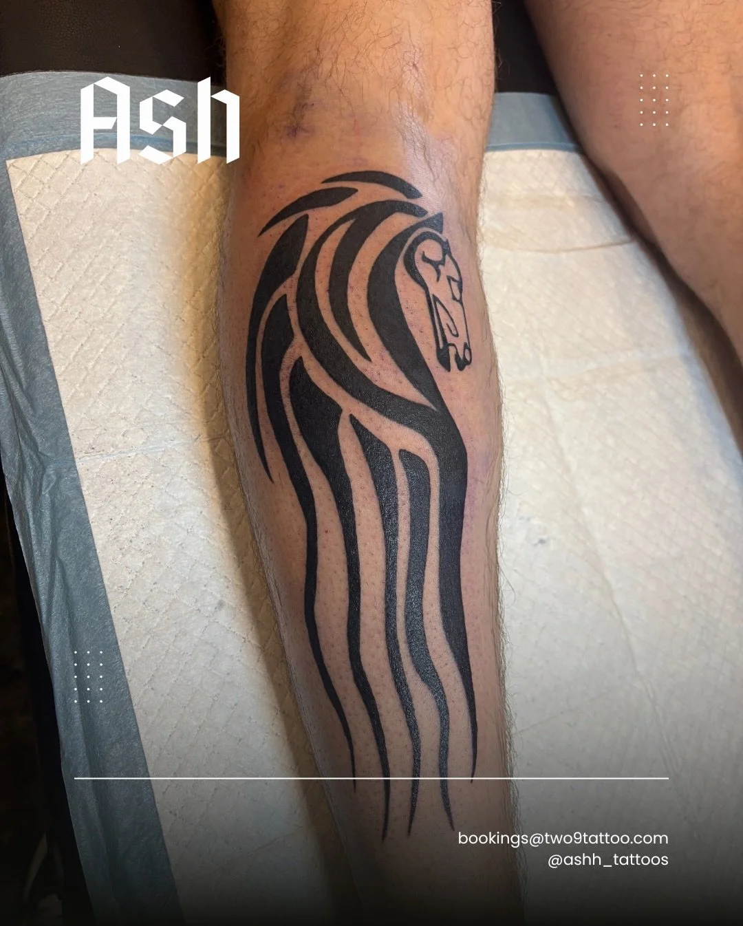 Ash has been keeping busy! So many new and old faces lately. We can&rsquo;t wait for more! There&rsquo;s plenty of flash sheets coming up 😮&zwj;💨✨