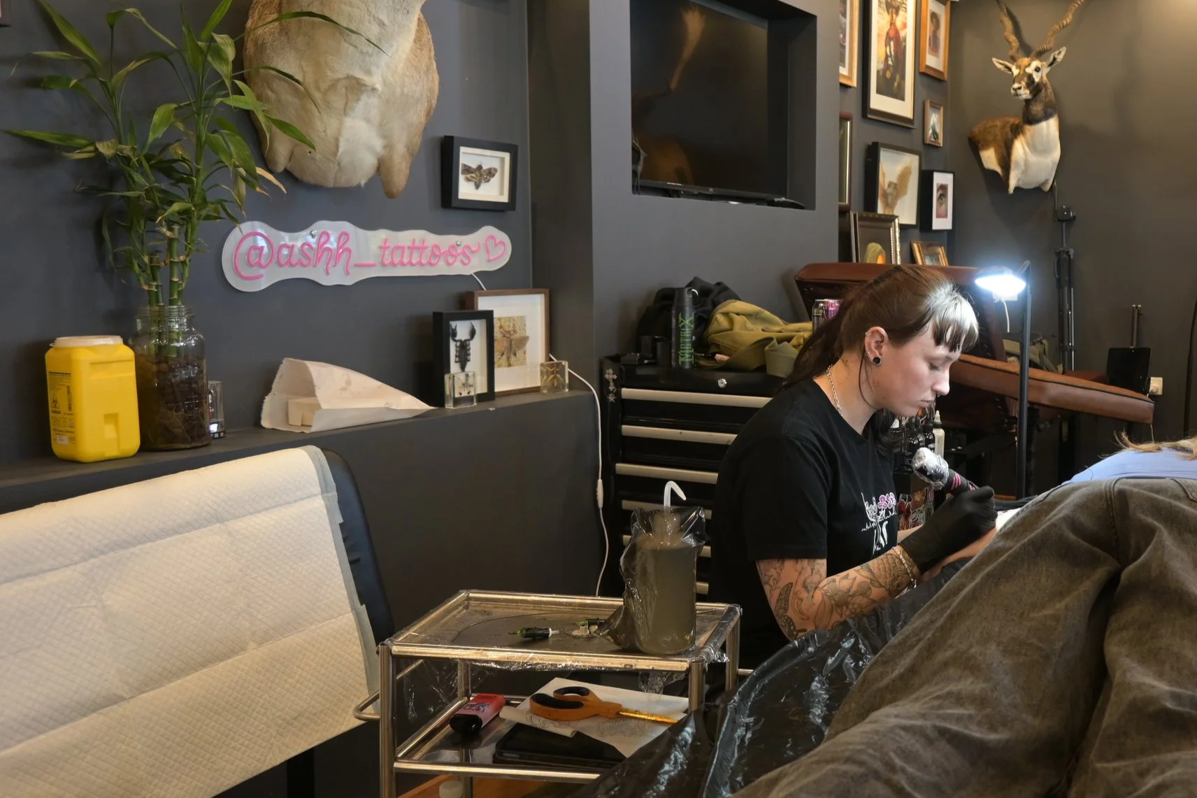 Click here for Ash's work