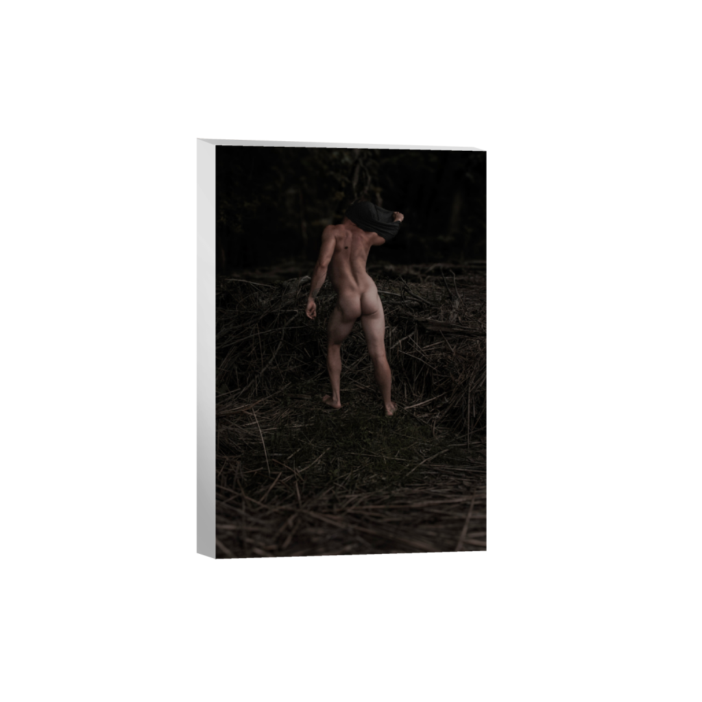 ptq_7_3_112_0_2060_3090_0_false_ffffff_0_0_.png
