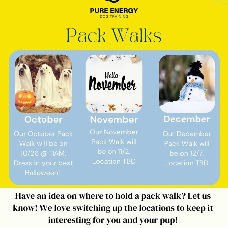 Are you a past client? 

If you answered yes, you are eligible for our pack walks 🙌🏽 

Our October pack walk will meet in the old Hickory facility parking lot at 11am. Want to add more Halloween fun? Come in your Halloween costume or bring your dog