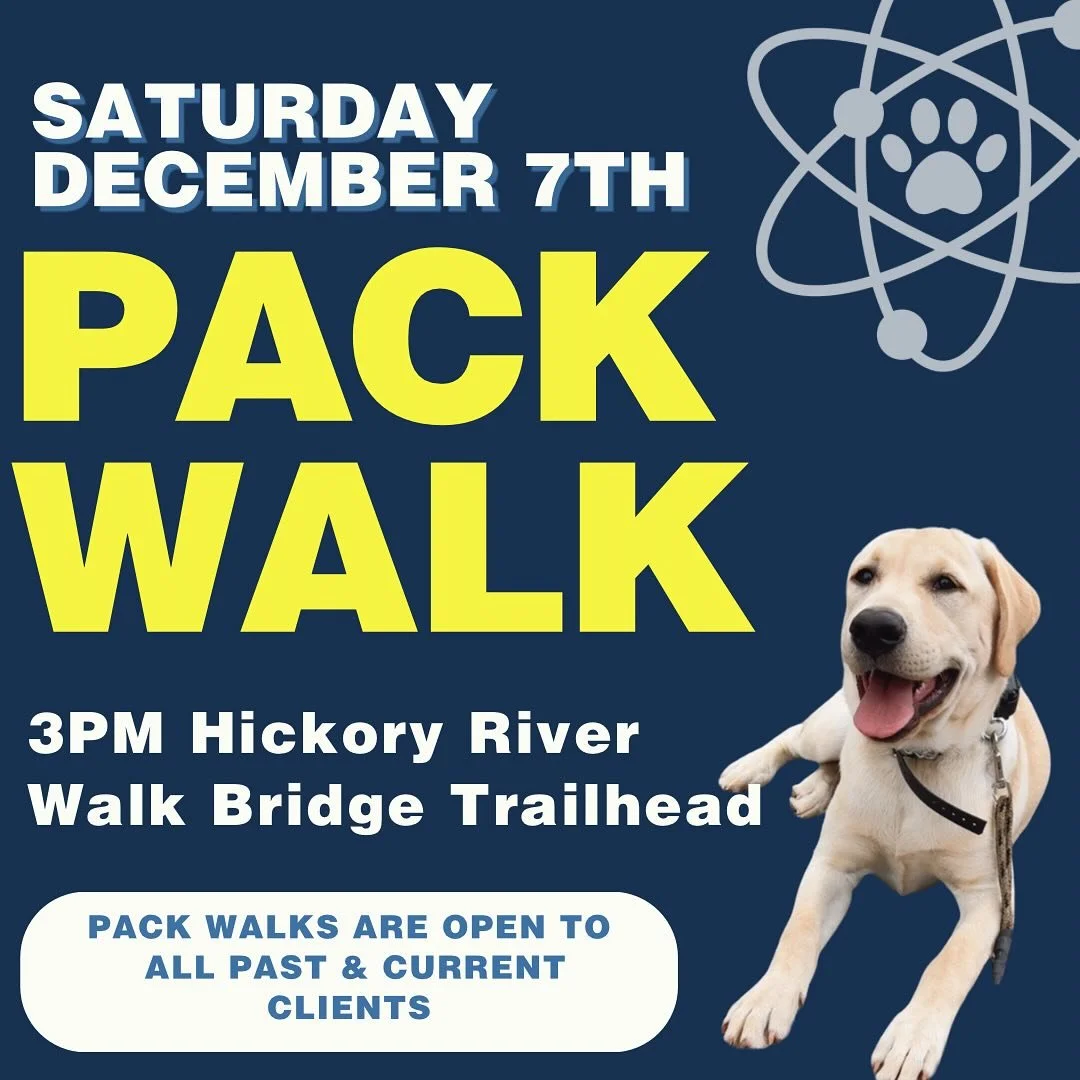 Join us as we pack in all the howl-iday festivities on December 7th! 

Pure Energy will have a booth set up that morning at the Dog walk with Santa day!! This event will be at Bruce Meisner Park (35 Cloninger Mill Rd. Hickory, NC 28601). Come hang ou