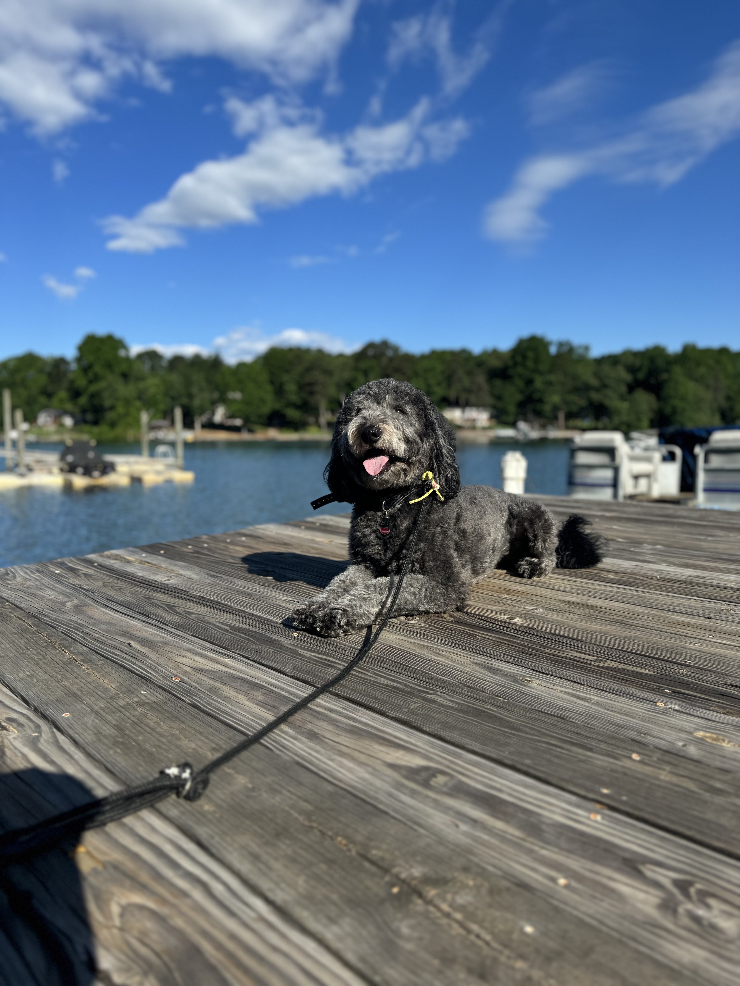IMG_3193.jpeg