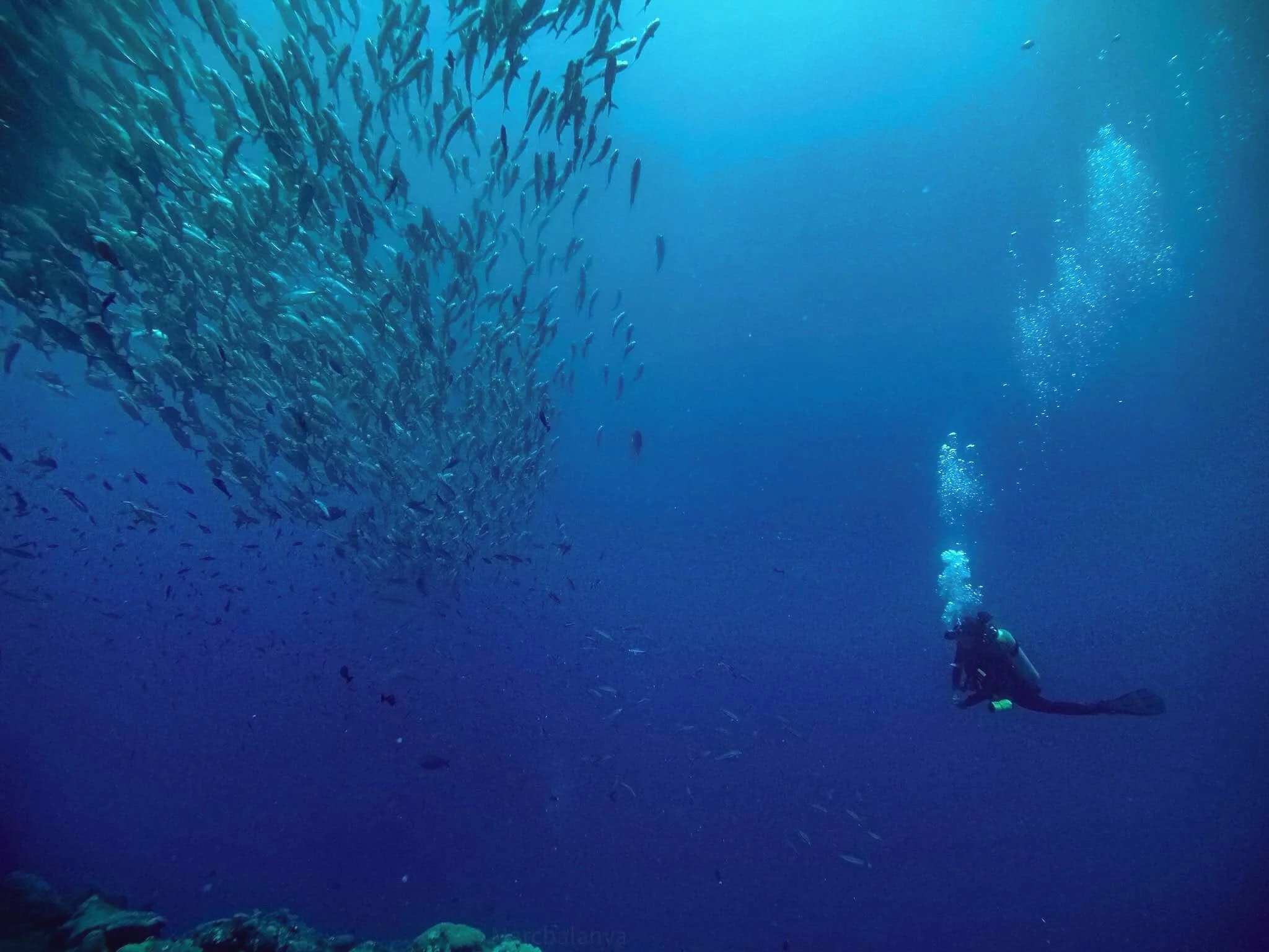 OCEAN HEALING