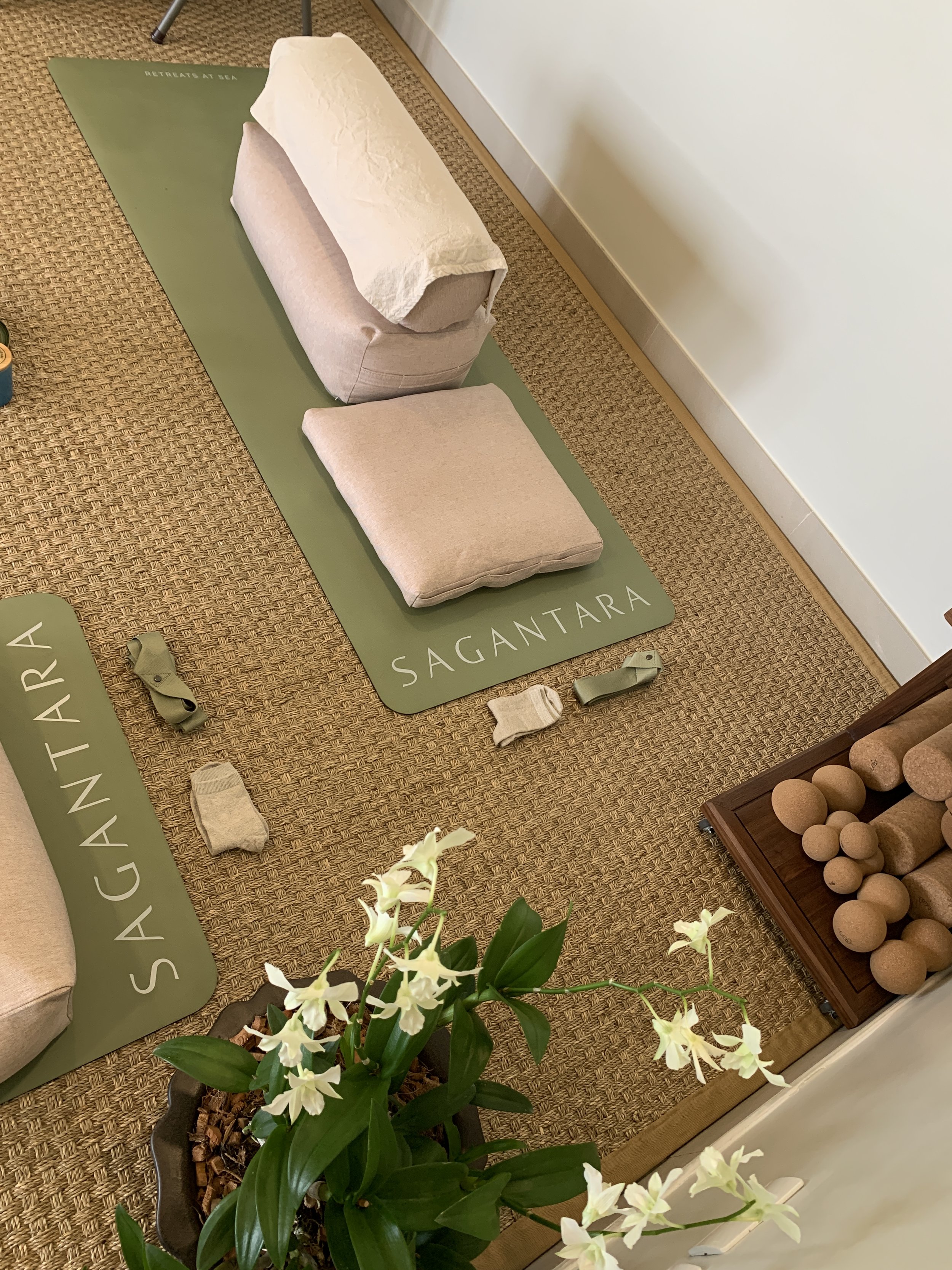 Deep Dive into Restorative Yoga (1:1)