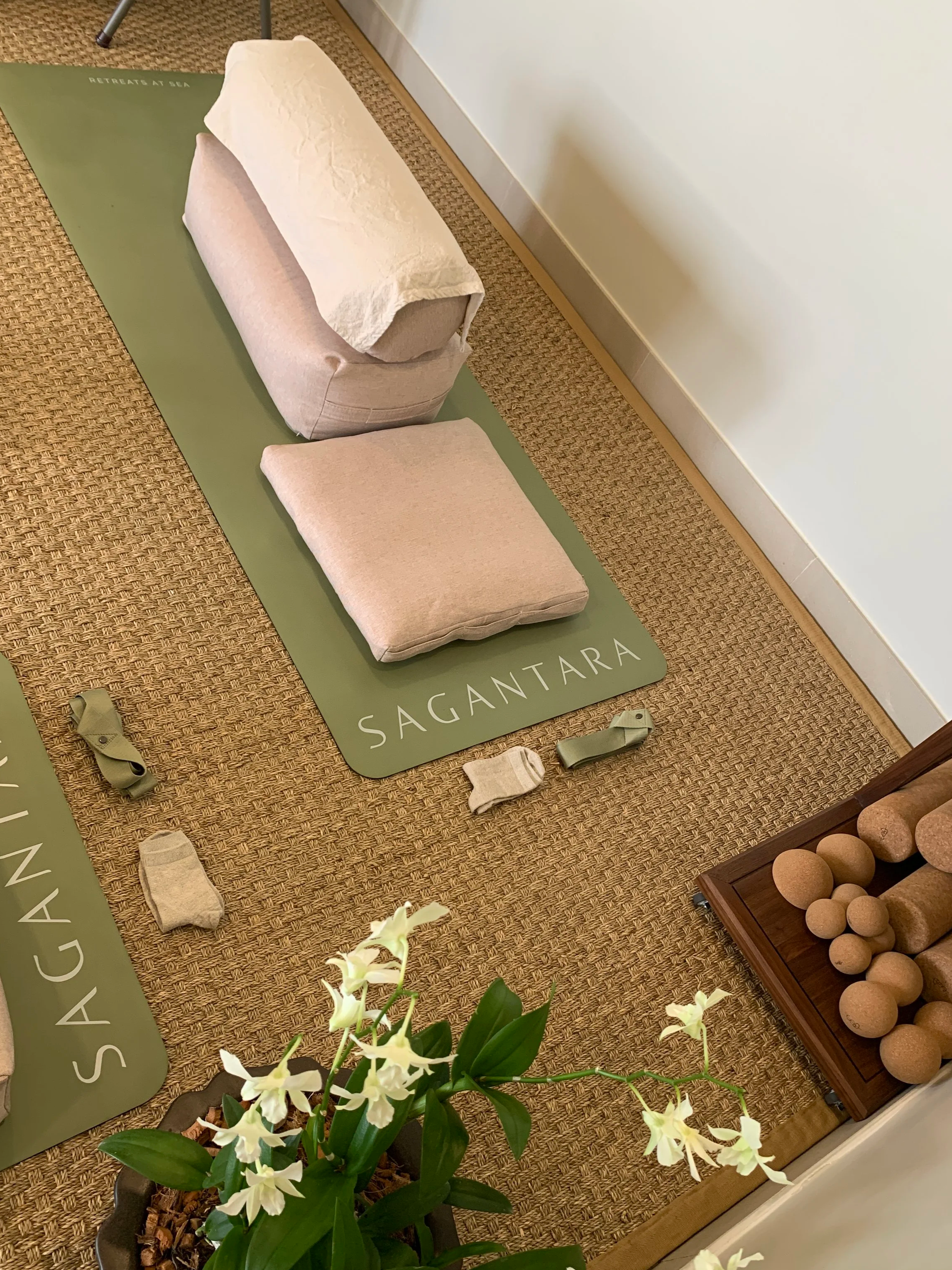 Sagantara Restorative Yoga Props
