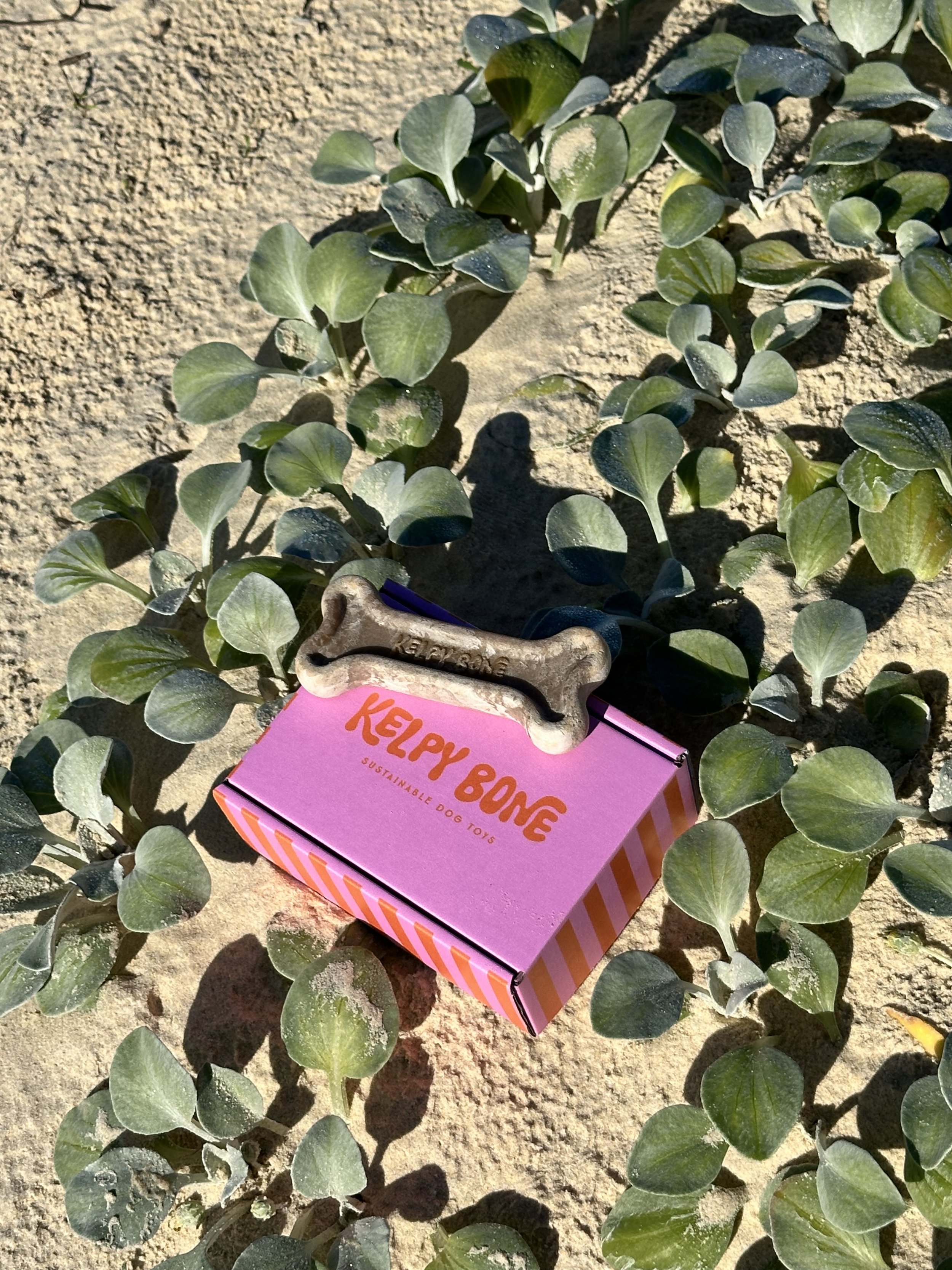 Why I Replaced Plastic Dog Toys with Seaweed Ones — And Why Your Pup (and the Planet) Will Thank You