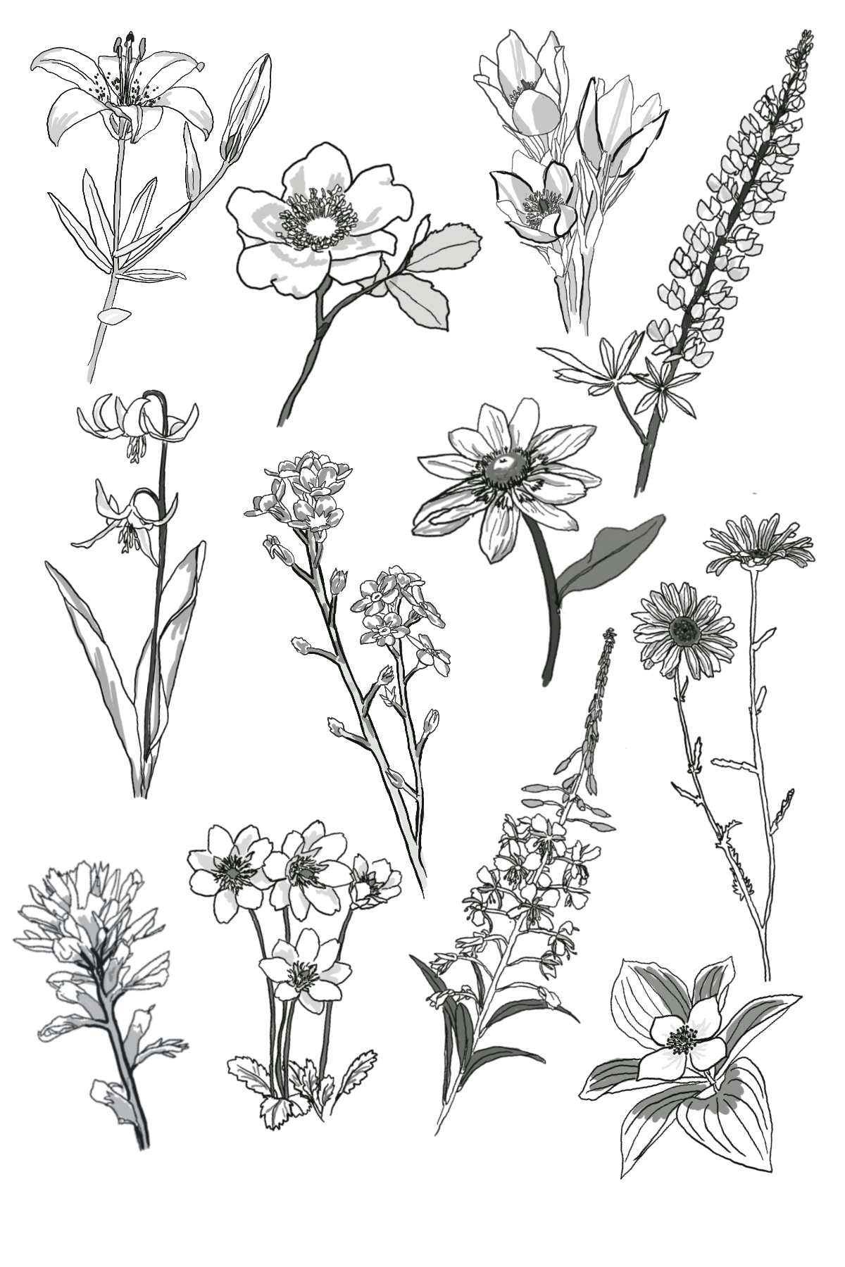 Untitled_Artwork 25 copy.png