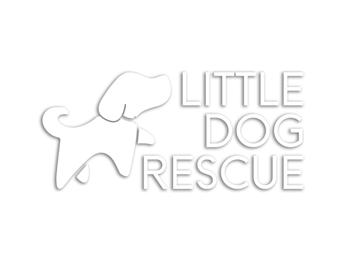 Logo for Little Dog Rescue featuring a simple outline of a small dog and the text 'LITTLE DOG RESCUE'.