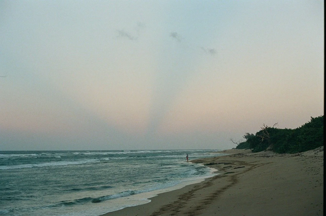 000002530034 Large.jpeg