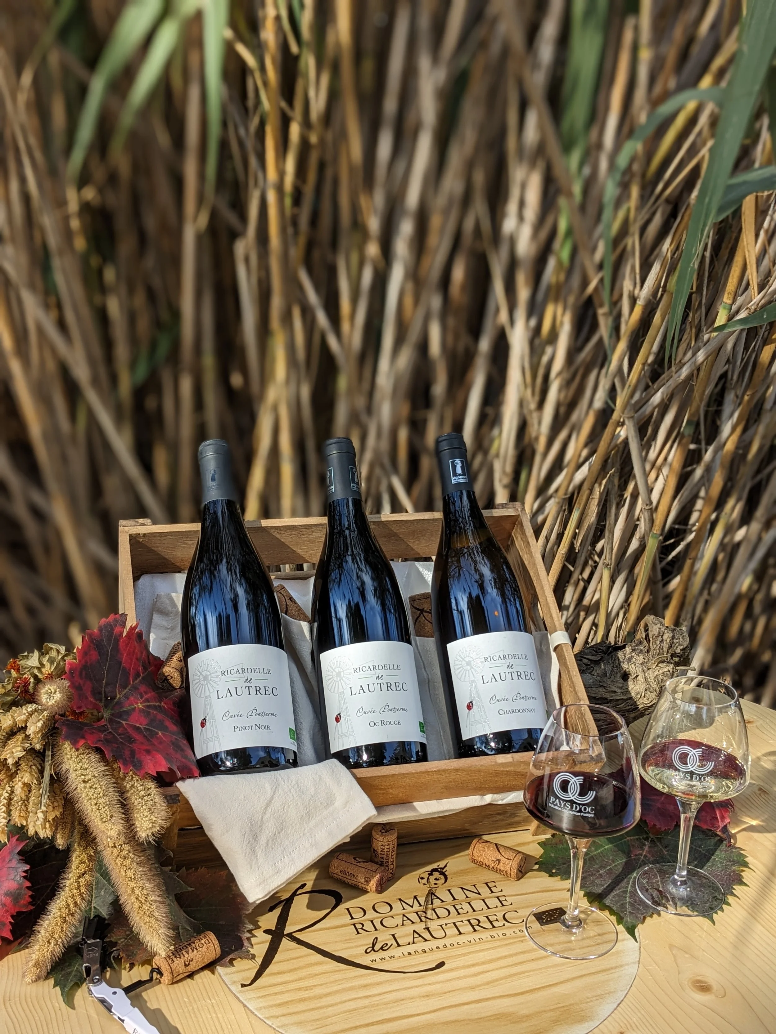 Trois bouteilles de vin du Domaine Ricardelle de Lautrec sont présentées dans une caisse en bois avec deux verres de vin à côté. Les étiquettes indiquent Cuvée Extrême Pinot Noir, Oc Rouge, et Chardonnay. Des feuilles d'automne décorent le tableau. Arrière-plan de cannes de bambou.