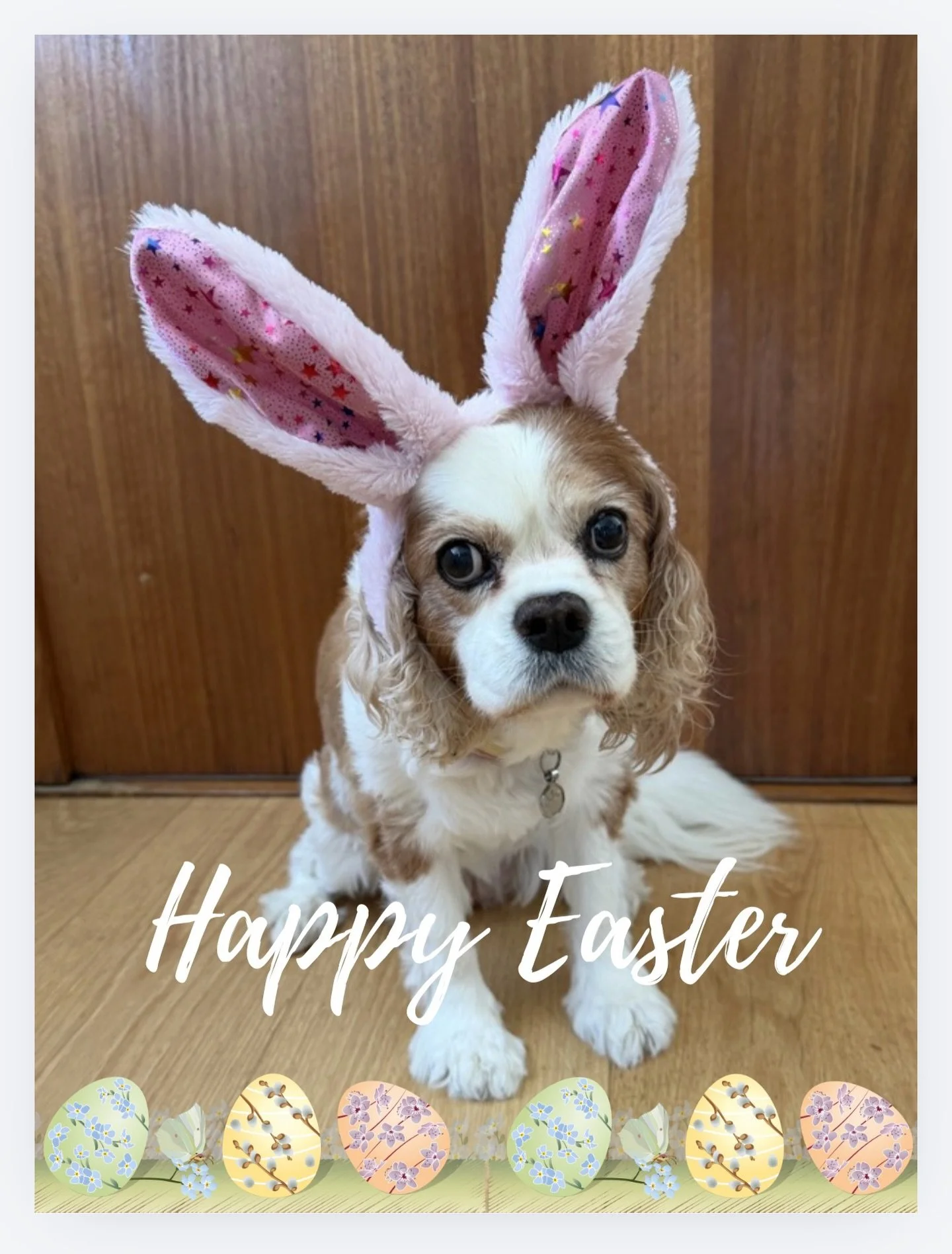 🐣 🤍 Happy Easter everybody 🤍🐰

Enjoy the chocolate, the memories, and a beautiful day celebrating. 

We can&rsquo;t wait to see you soon. We&rsquo;re back on Tuesday, with our next clinic on Friday April 10 with Dr Napthali.

If you&rsquo;d like 