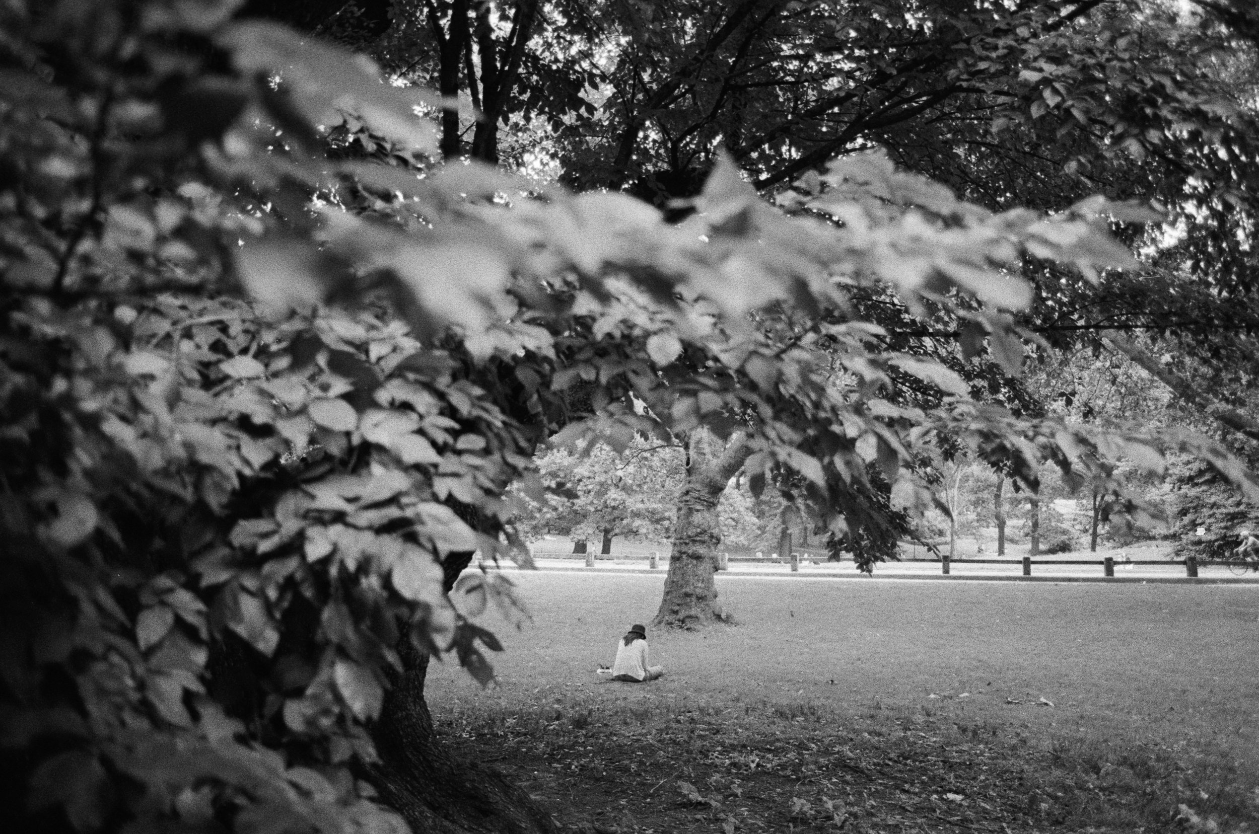 Central Park - New York City, New York // Canon AT-1 + Kodak PMax 3200