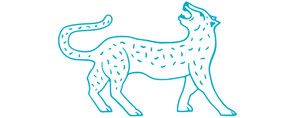 Meditation as Being Online Program 3 Month Payment Plan