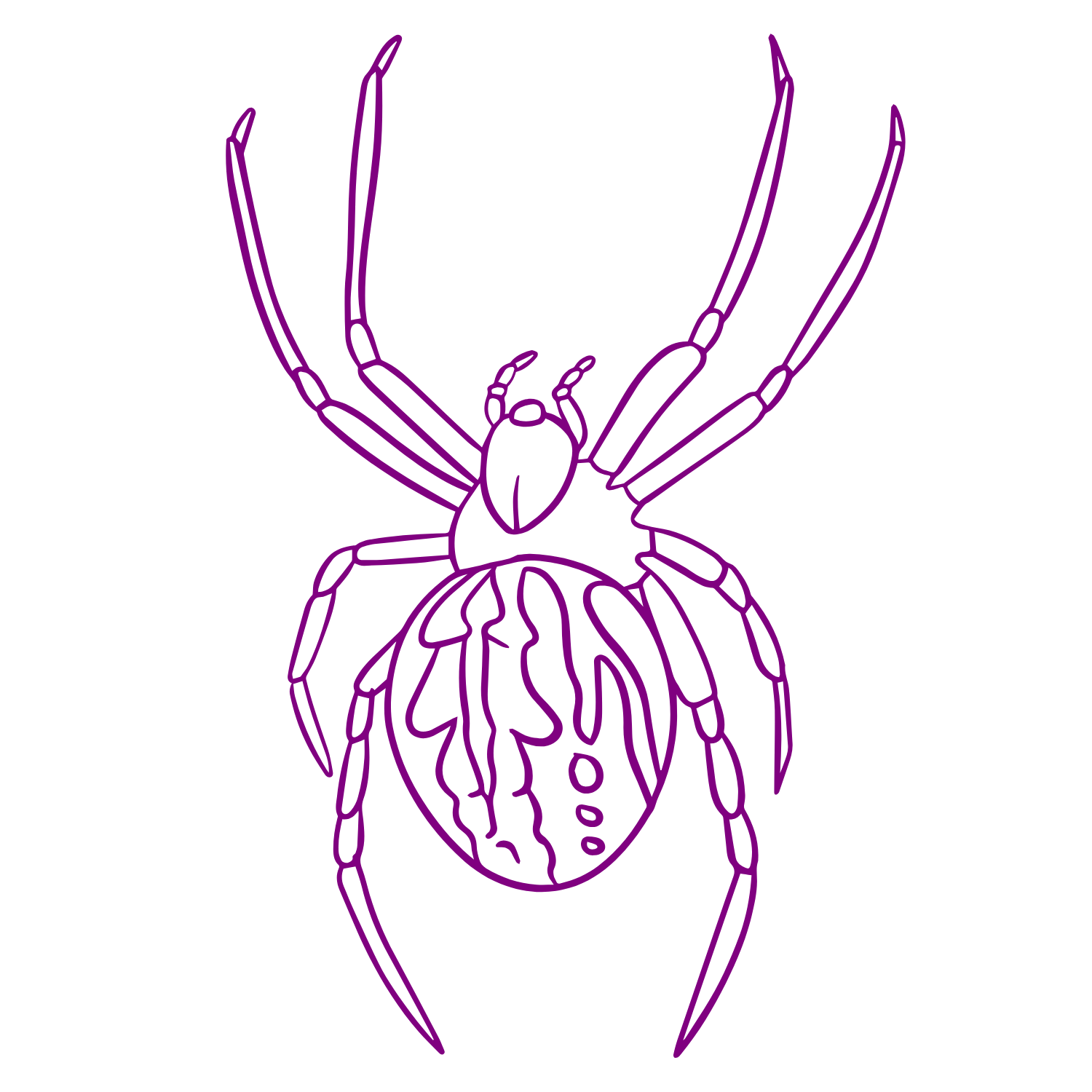purple spider 2.png