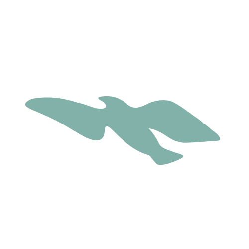 Meditation as Being Online Program