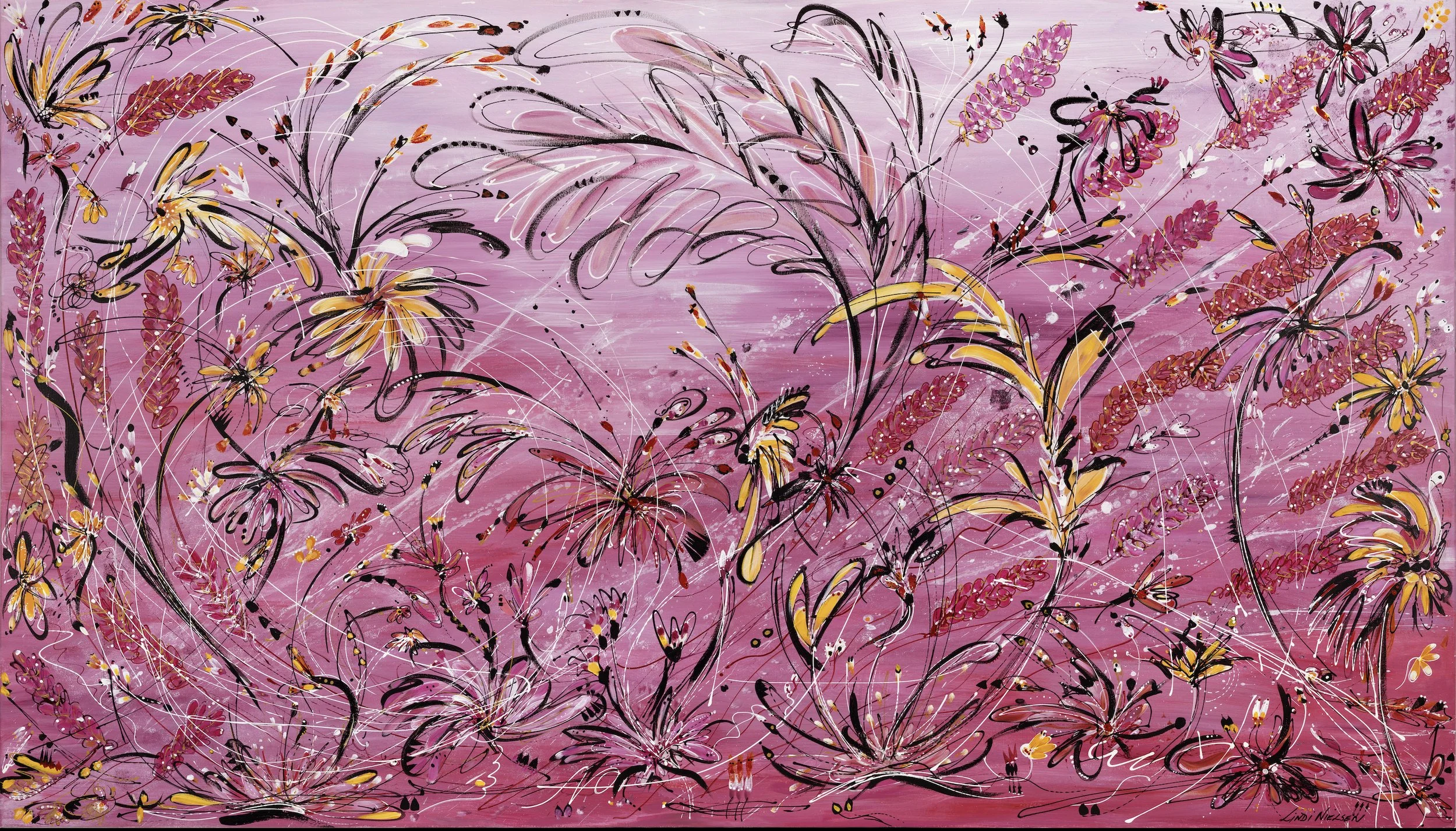 Grevilleas - Sweet Chaos