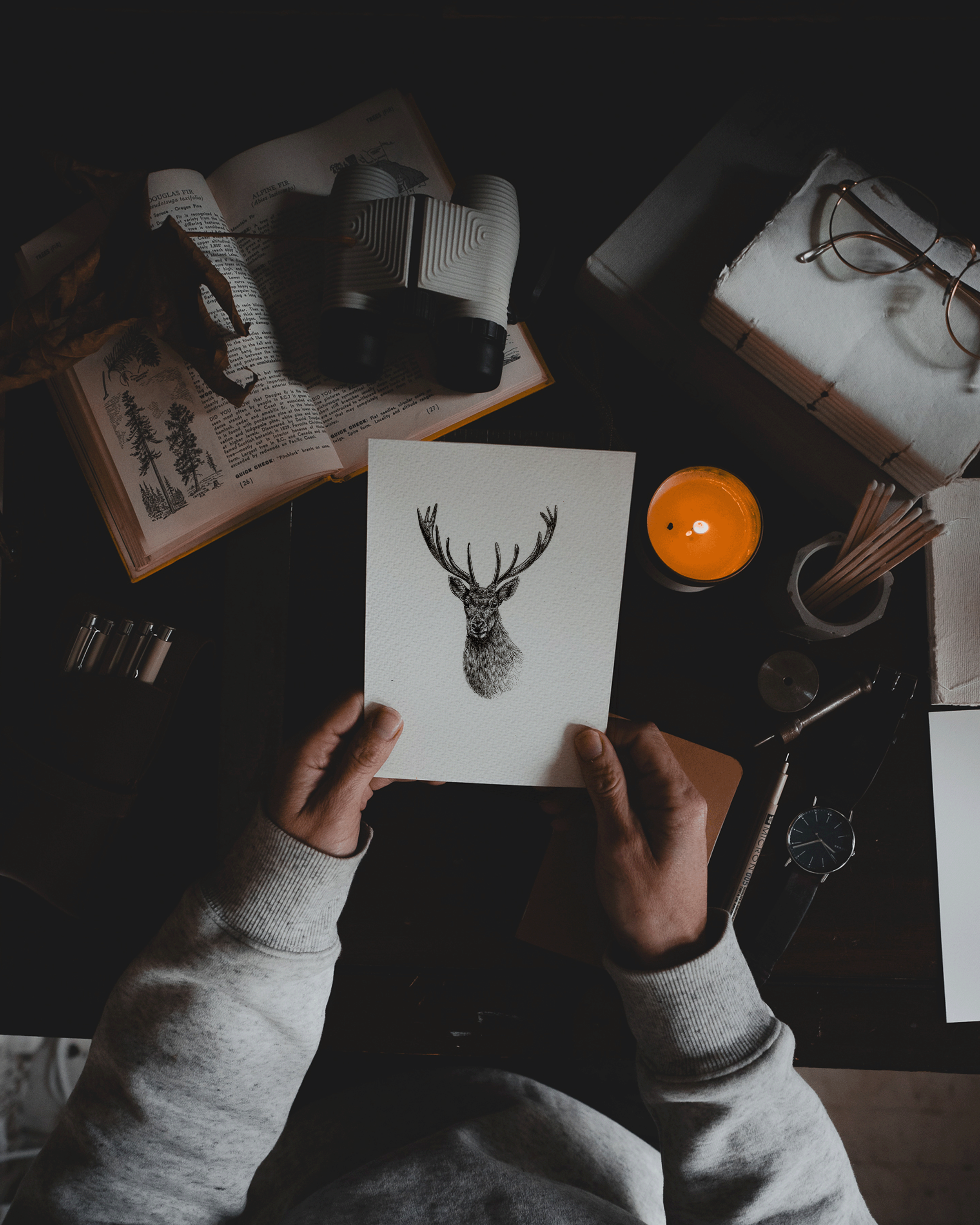 stag held.png