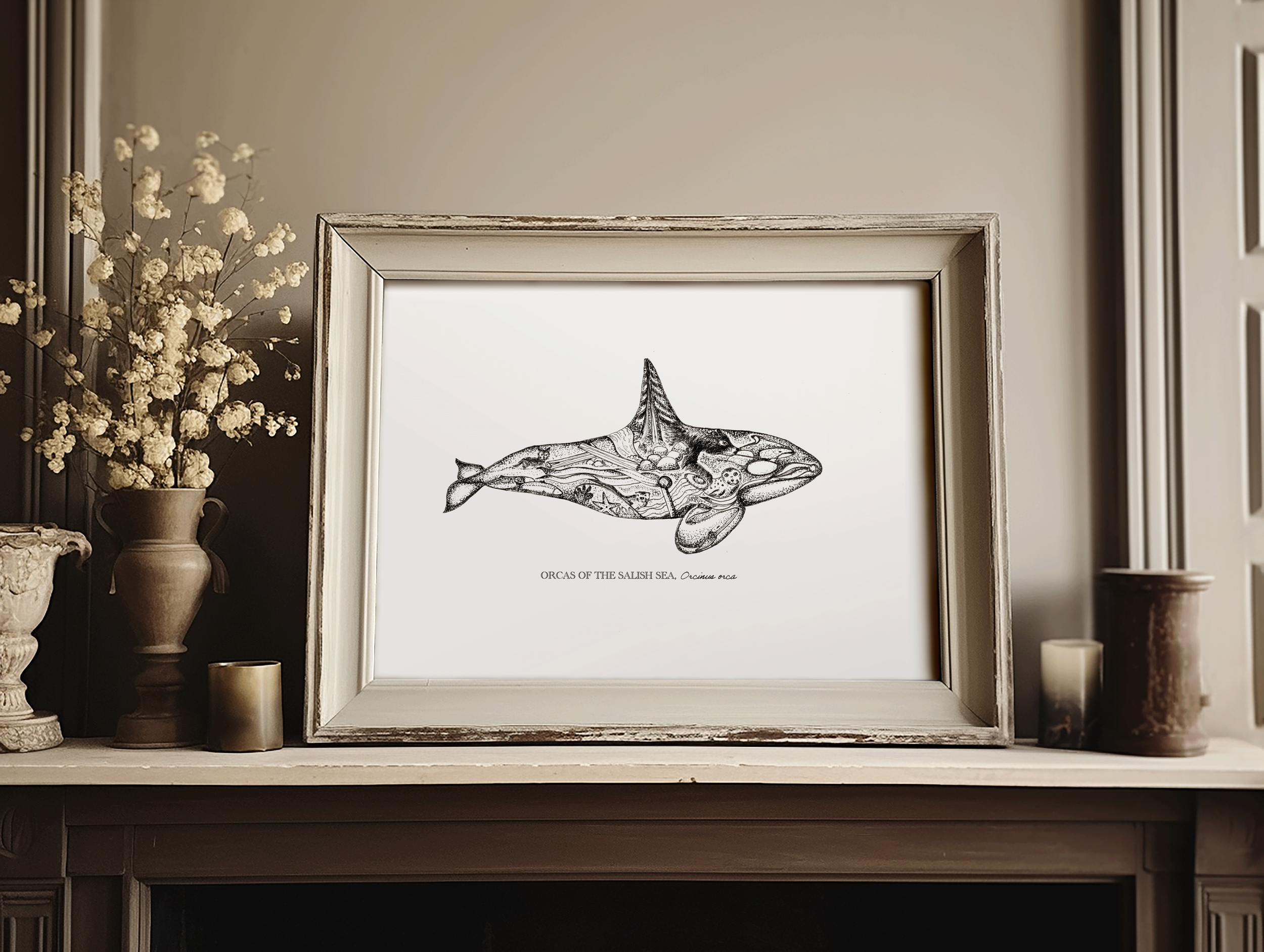 Salish Orca MU.png