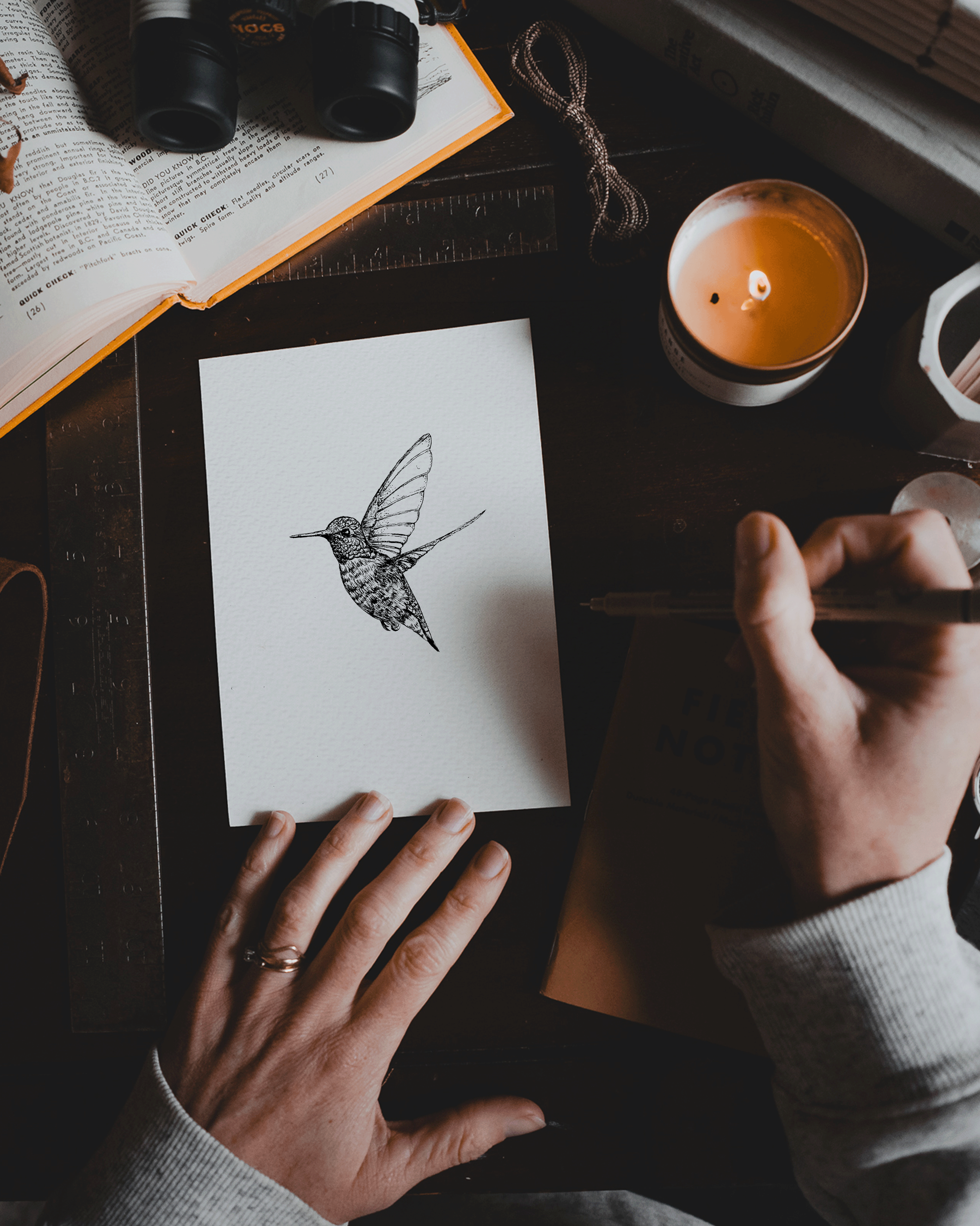 hummingbird.png