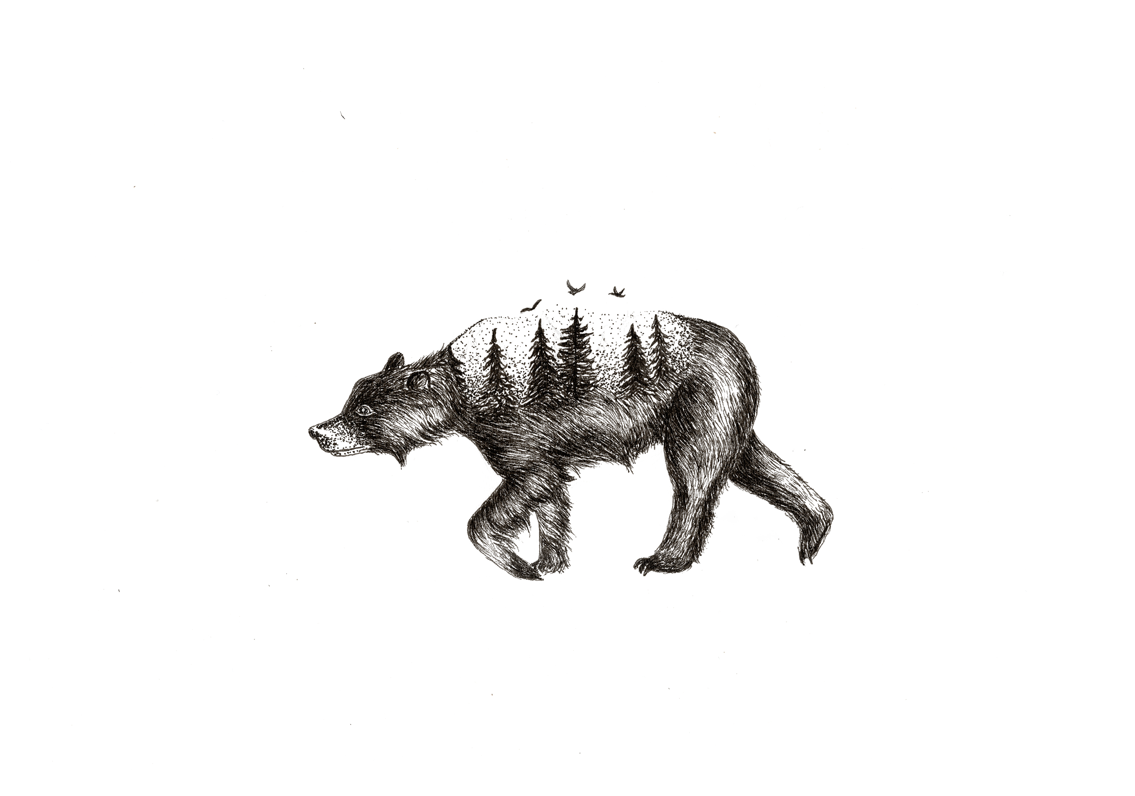 Forest Bear Plain MU.png