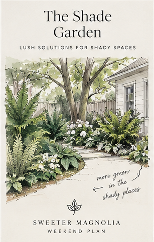 The Shade Garden