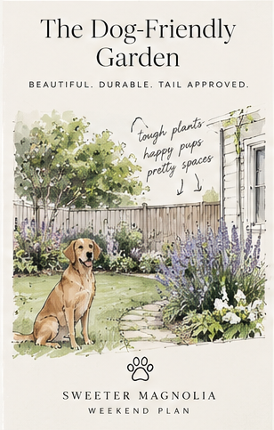 The Dog Friendly Garden