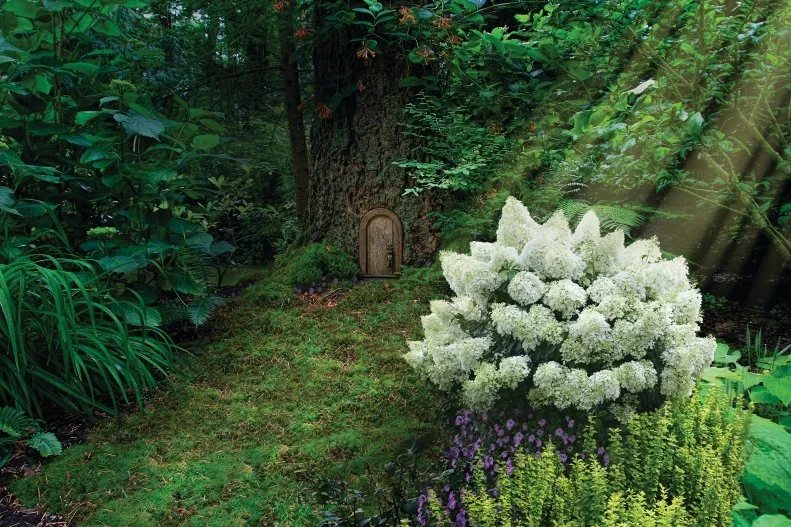 Layered garden planting with structural evergreens and soft flowering plants