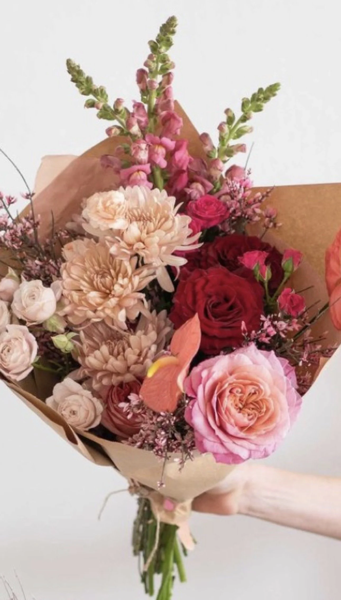 Southern Showstopper