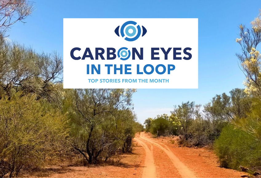 What the carbon market revealed this month