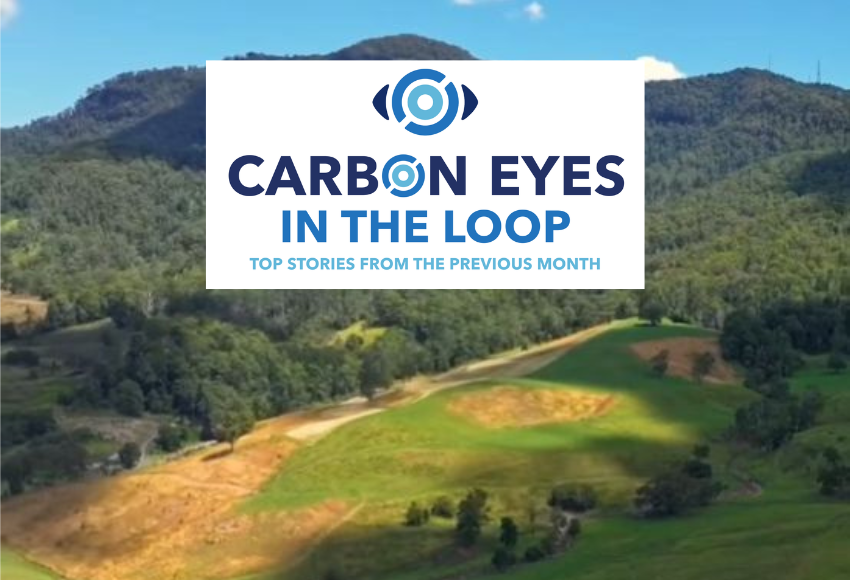Carbon market insights: the month in review