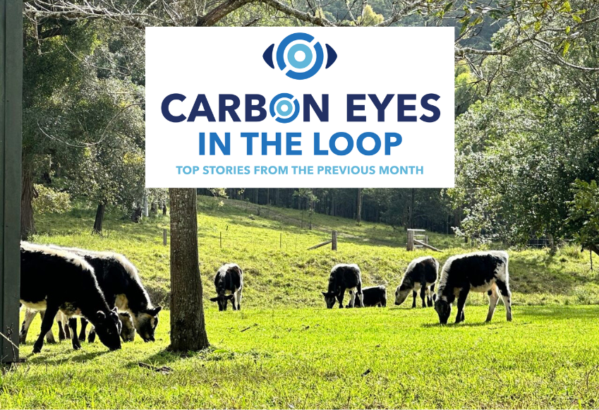 What we saw in carbon markets this month