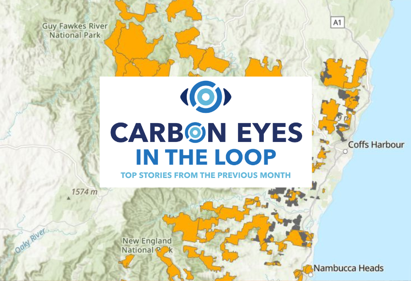 Carbon market insights: the month in review