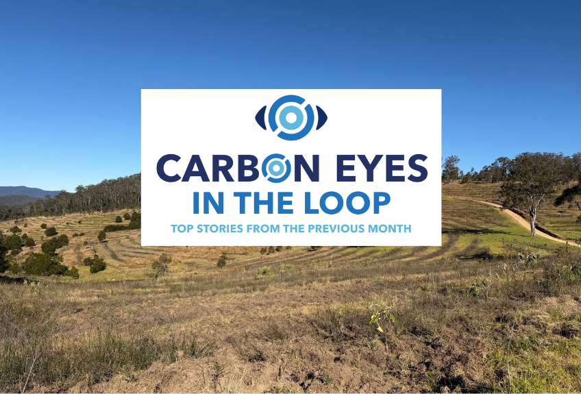 Carbon market insights: close to 2 million credits shared amongst 90 projects