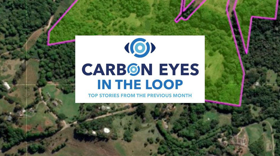 Carbon market insights: September’s key developments