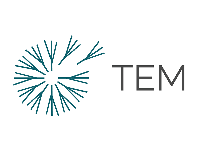 TEM