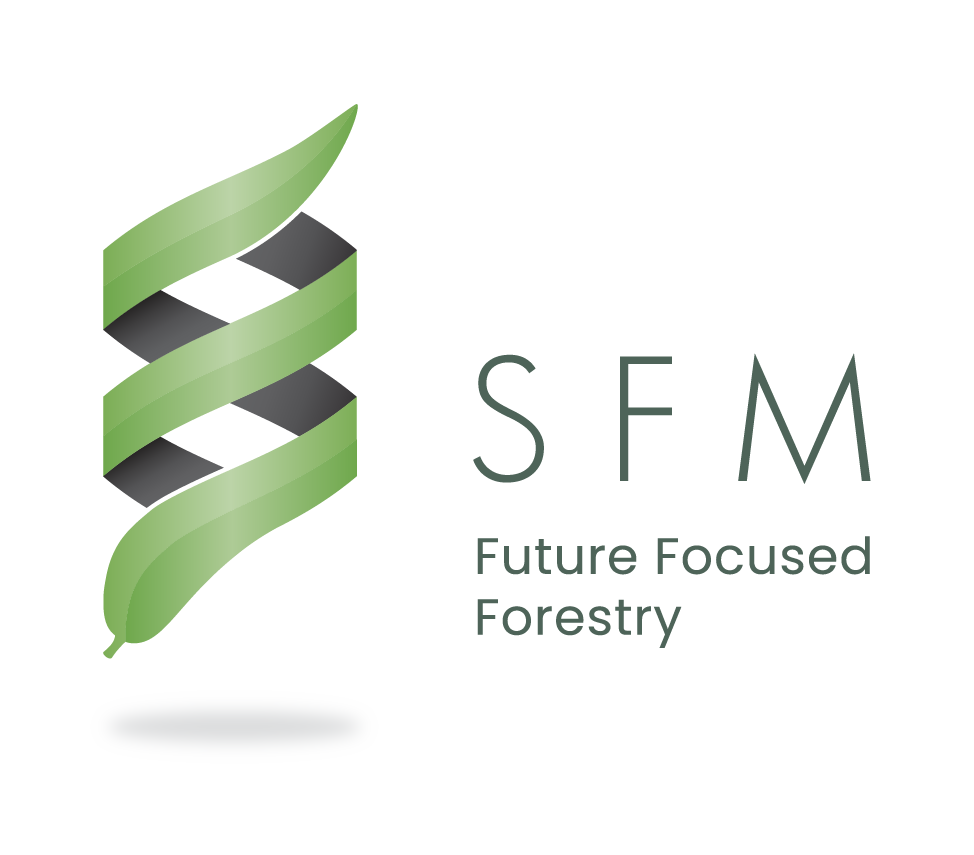 SFM