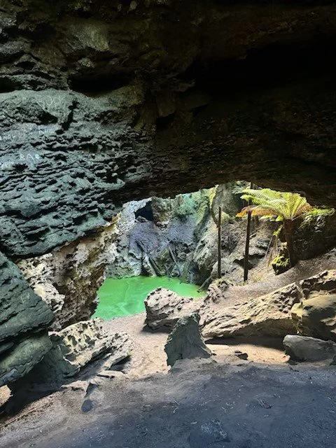 View of a cave opening with green water and tropical plants outside