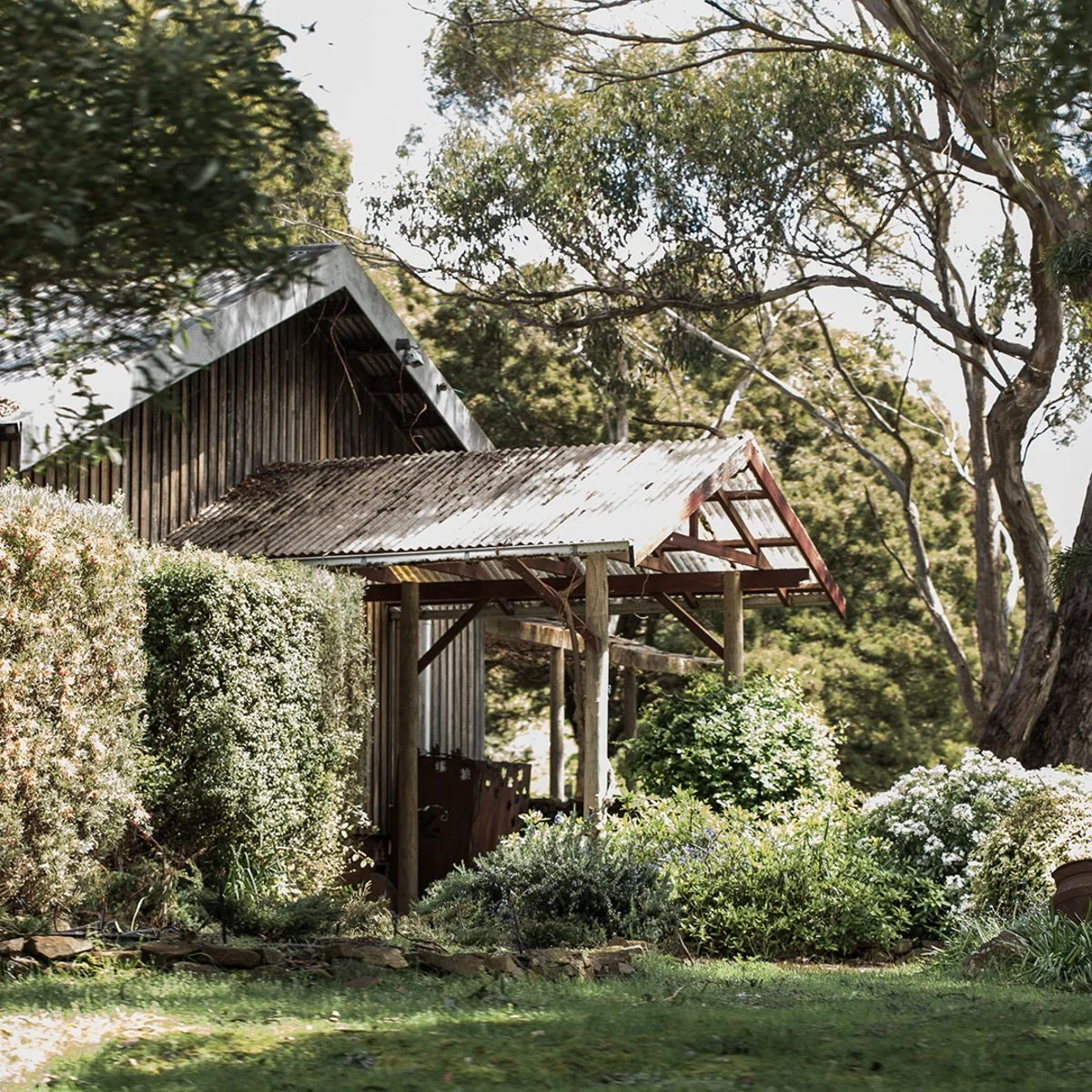 A rustic outdoor porch with a corrugated metal roof, surrounded by lush bushes and trees, under a partly cloudy sky.