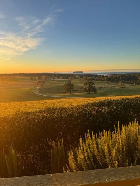 A vast green landscape with rolling fields, scattered trees, and a distant flat-topped hill under a partly cloudy sky during sunset.