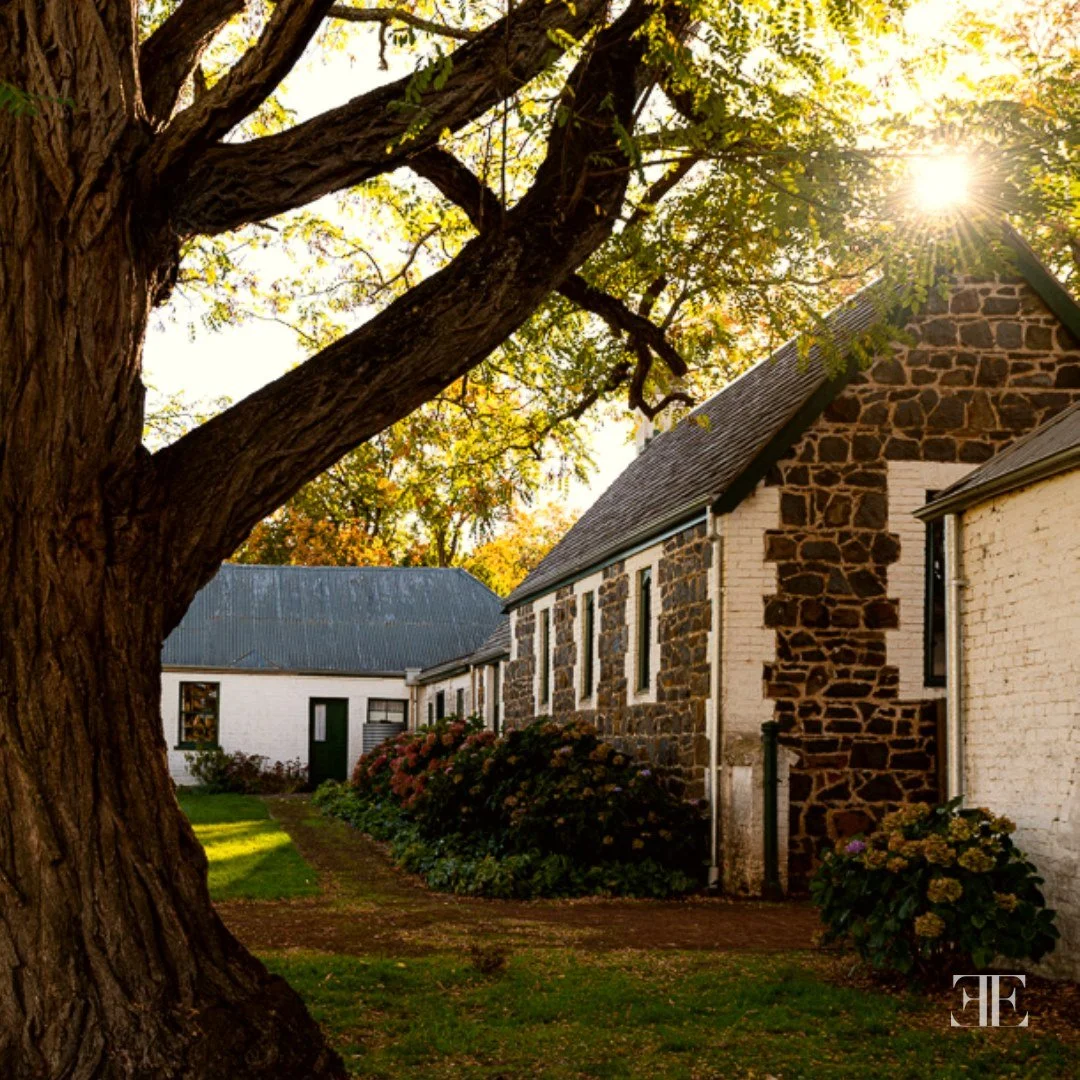 A large tree with sprawling branches and green leaves in front of a stone and white brick house, with sun shining through the leaves, in a garden with bushes and green grass.