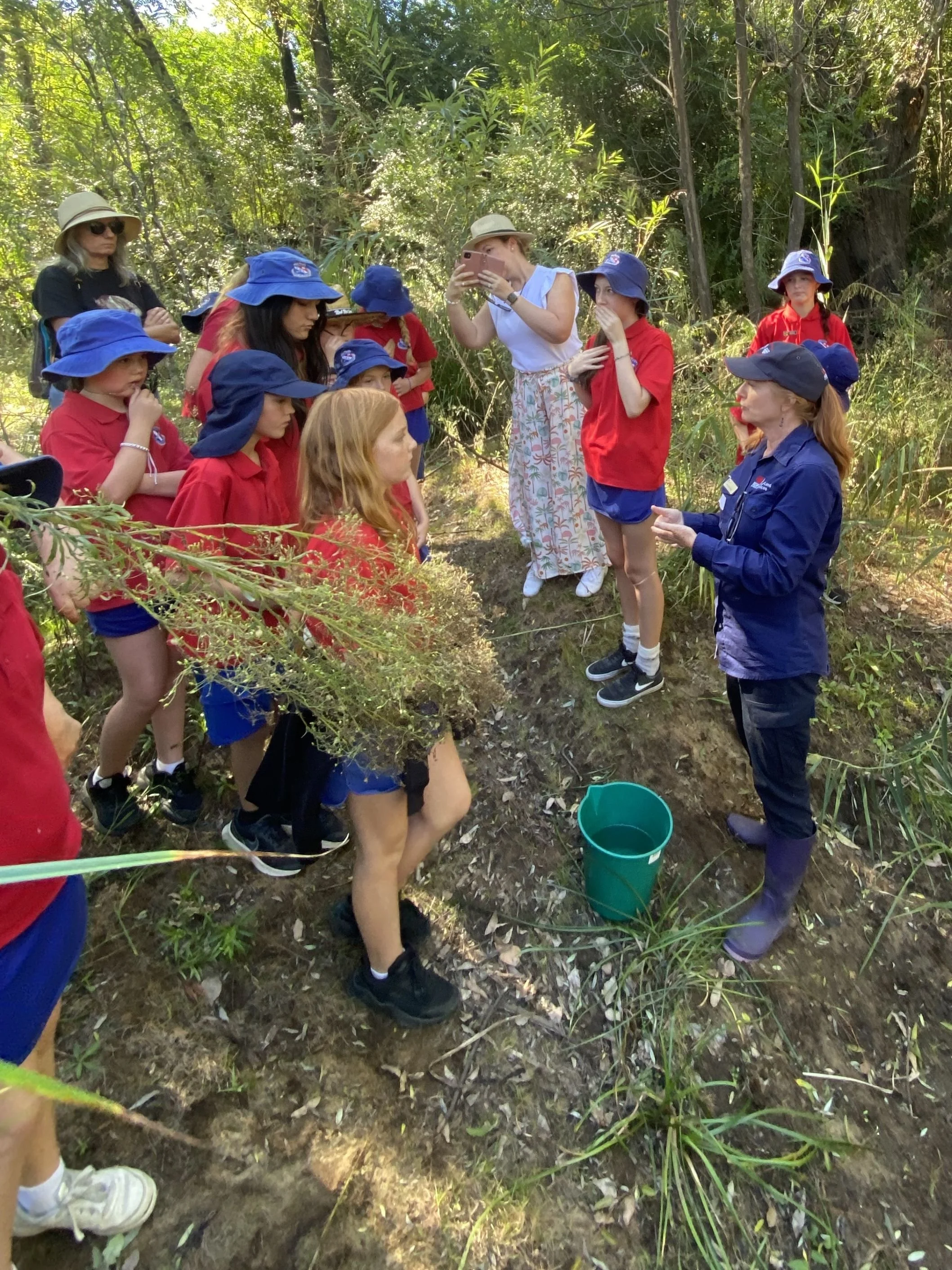 Laguna Public School samping April 2024