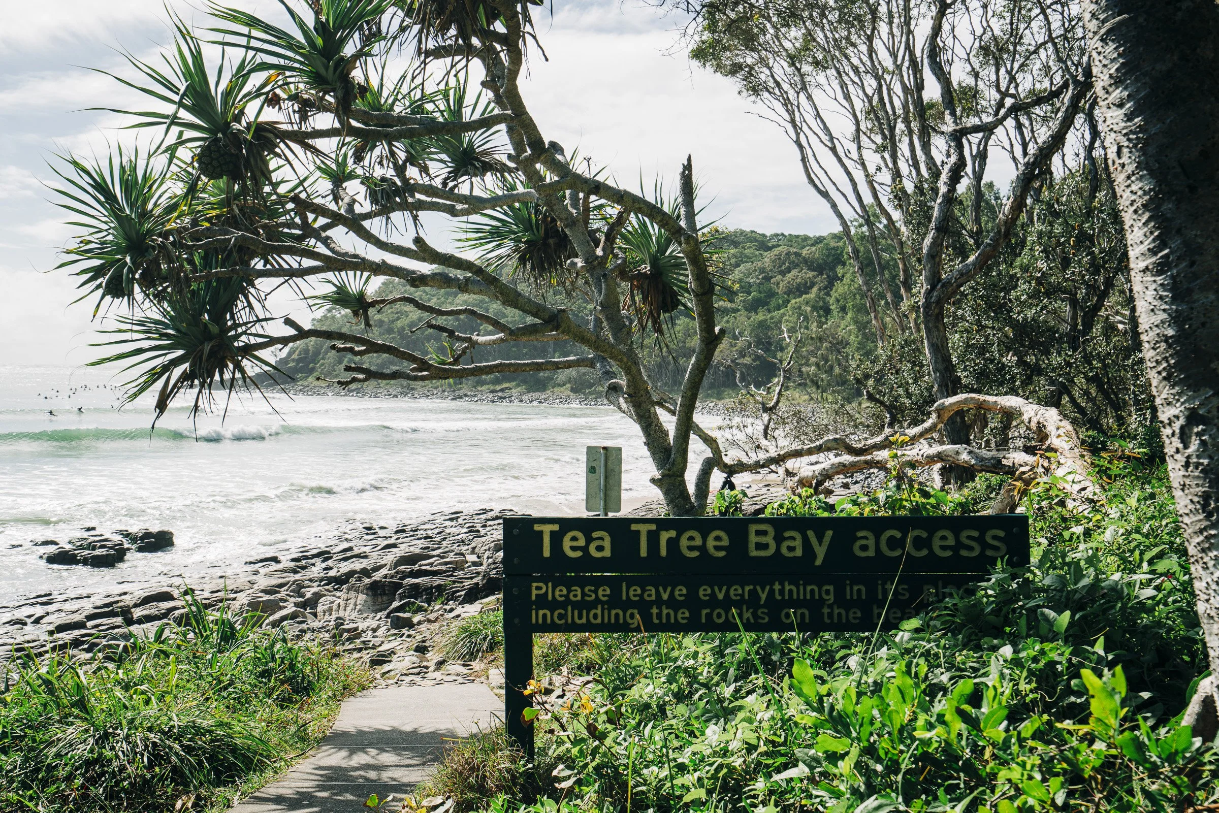 Beach access pathway surrounded by greenery with a sign that reads 'Tea Tree Bay access' and instructions to leave everything in its place, including rocks on the beach.