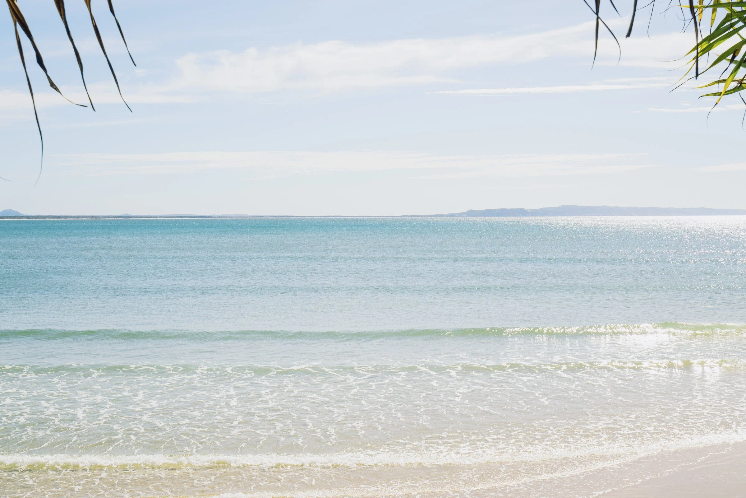 Photo of a calm ocean with blue water, gentle waves, and distant landforms, under a partly cloudy sky. Palm leaves are visible at the top corners.