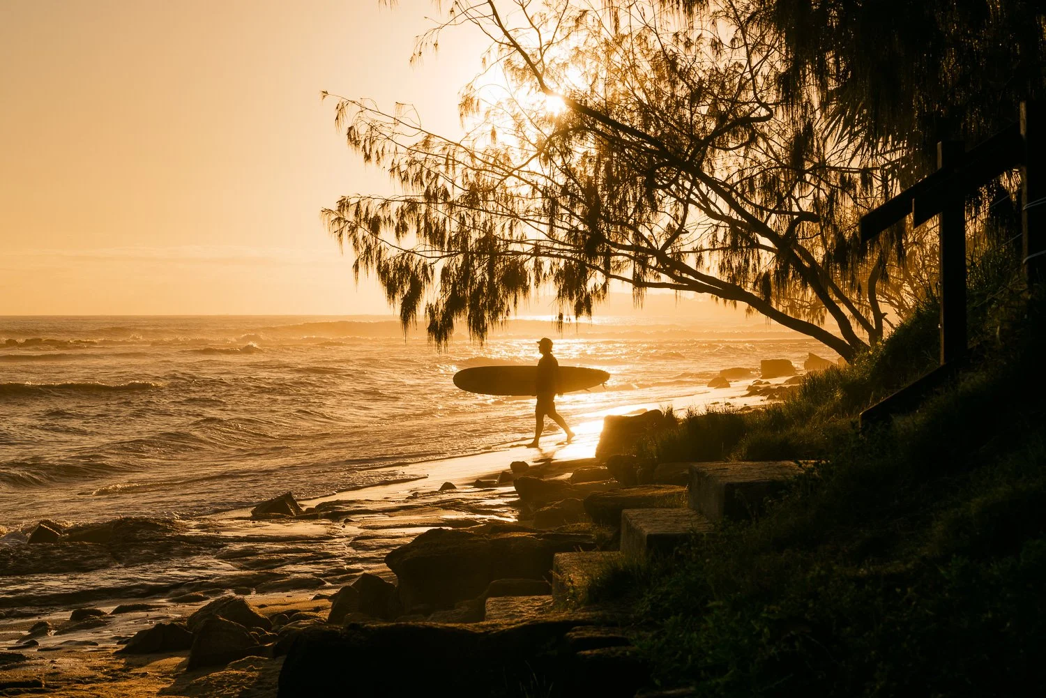 A person carrying a surfboard walking along the beach at sunset, with a large tree and rocks in the foreground and the ocean waves in the background.