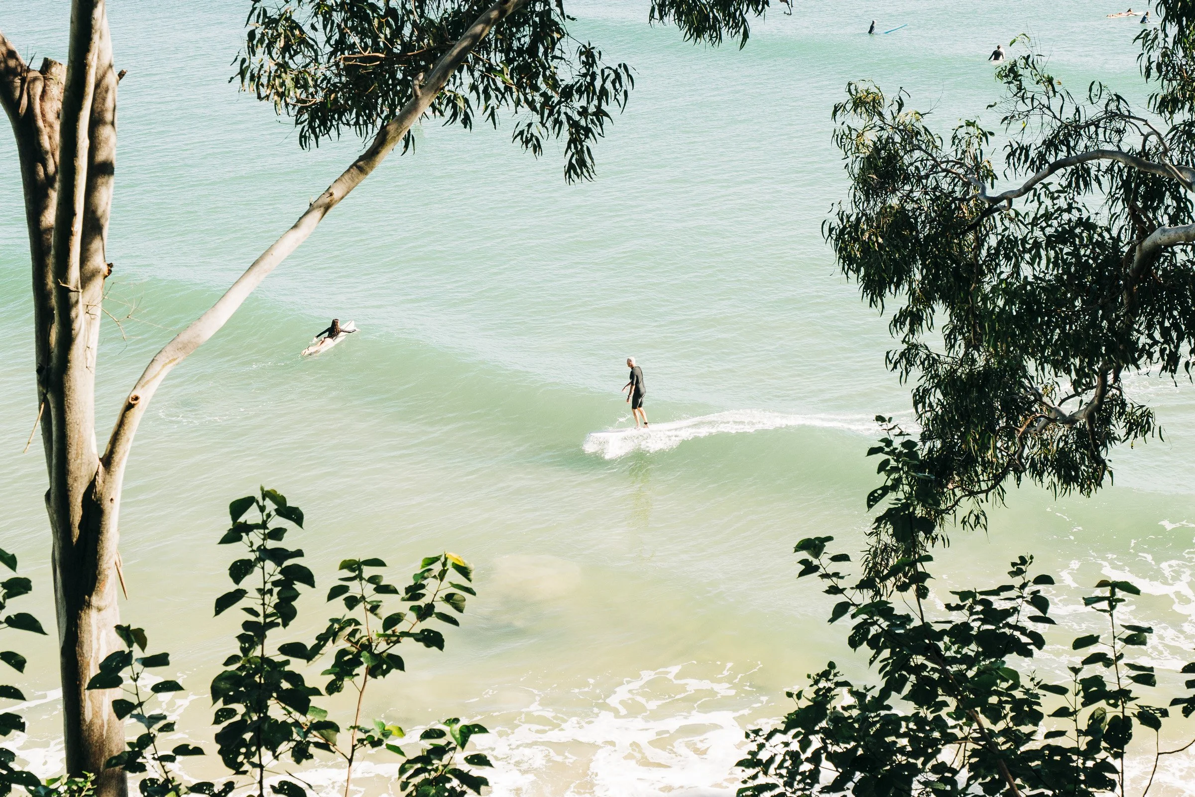 People surfing and standing in shallow water at a beach with trees and foliage in the foreground.