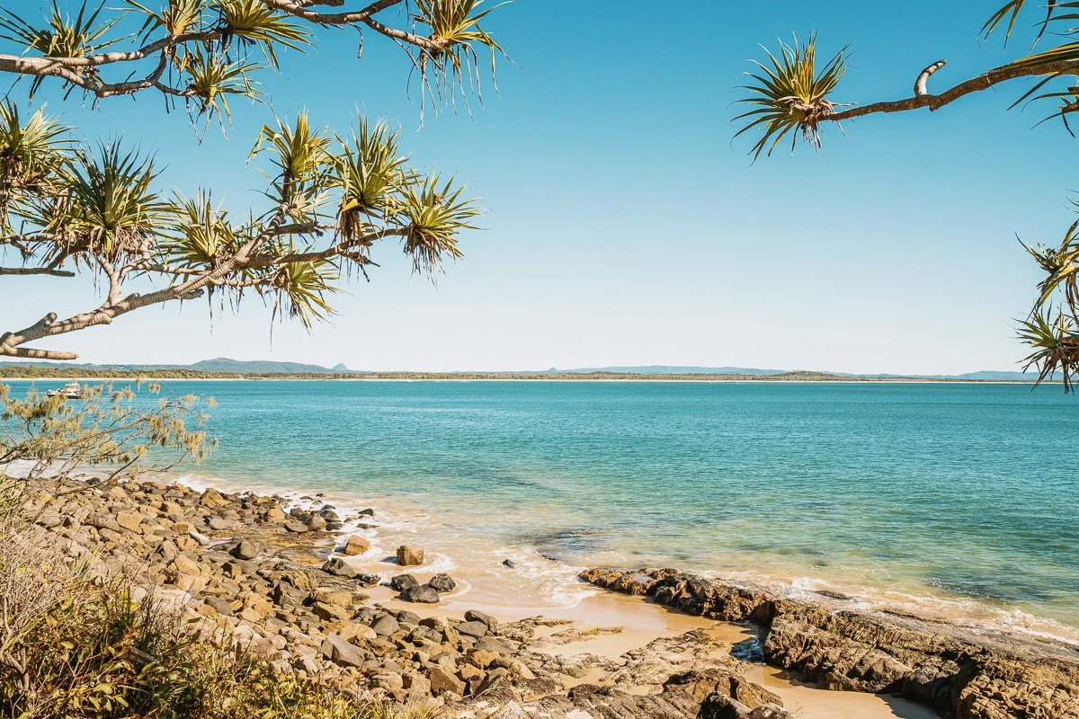 A coastal scene featuring a sandy and rocky beach with clear blue water, a tree with large, spiky leaves in the foreground, and a distant view of land across the water under a bright blue sky.