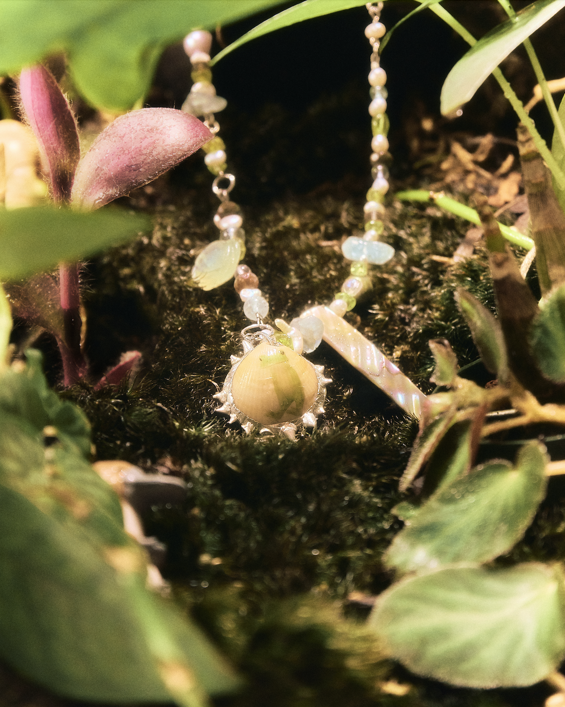 Screen Shot 2026-01-01 at 10.42.44 PM.png