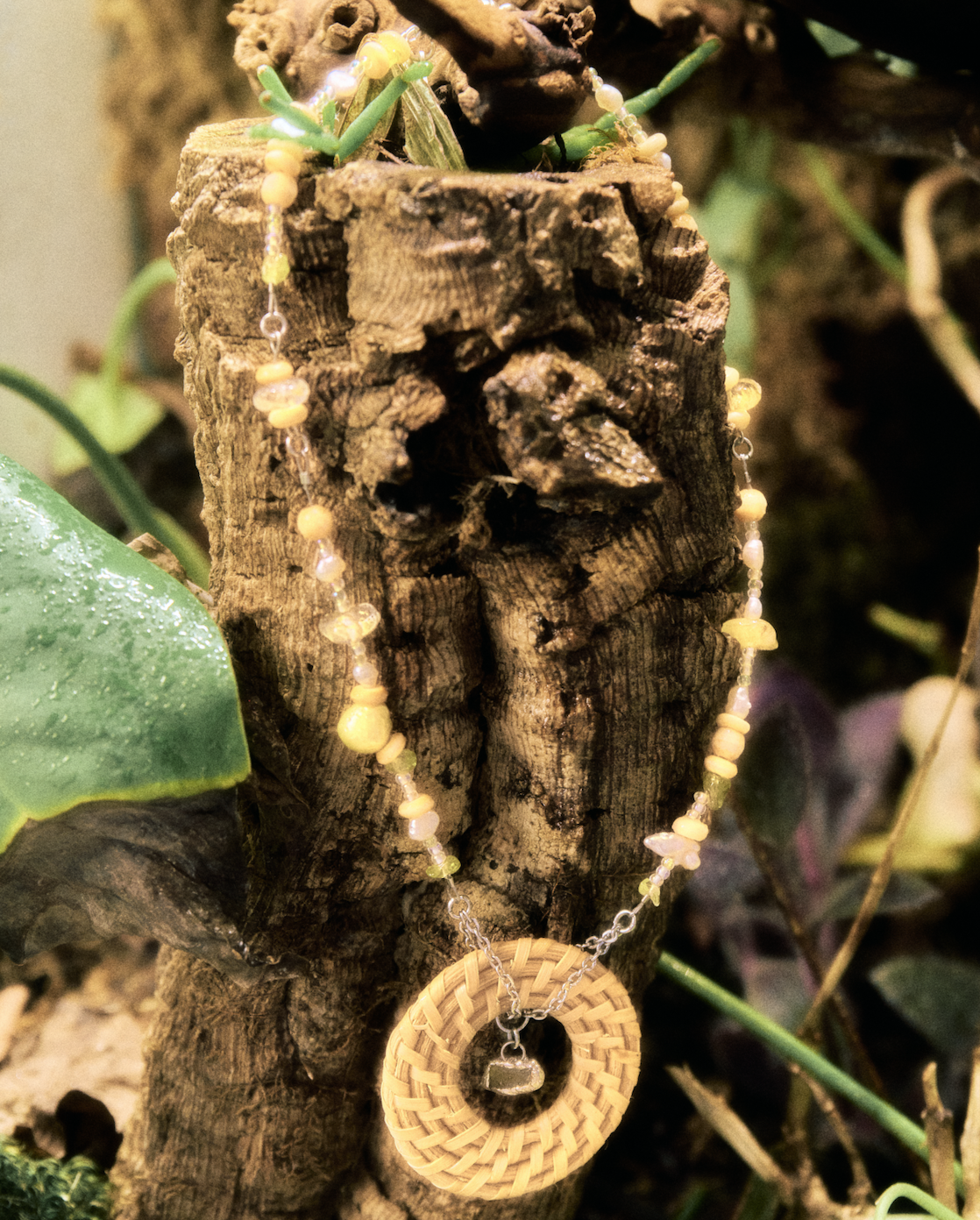 Screen Shot 2026-01-01 at 8.43.06 PM.png